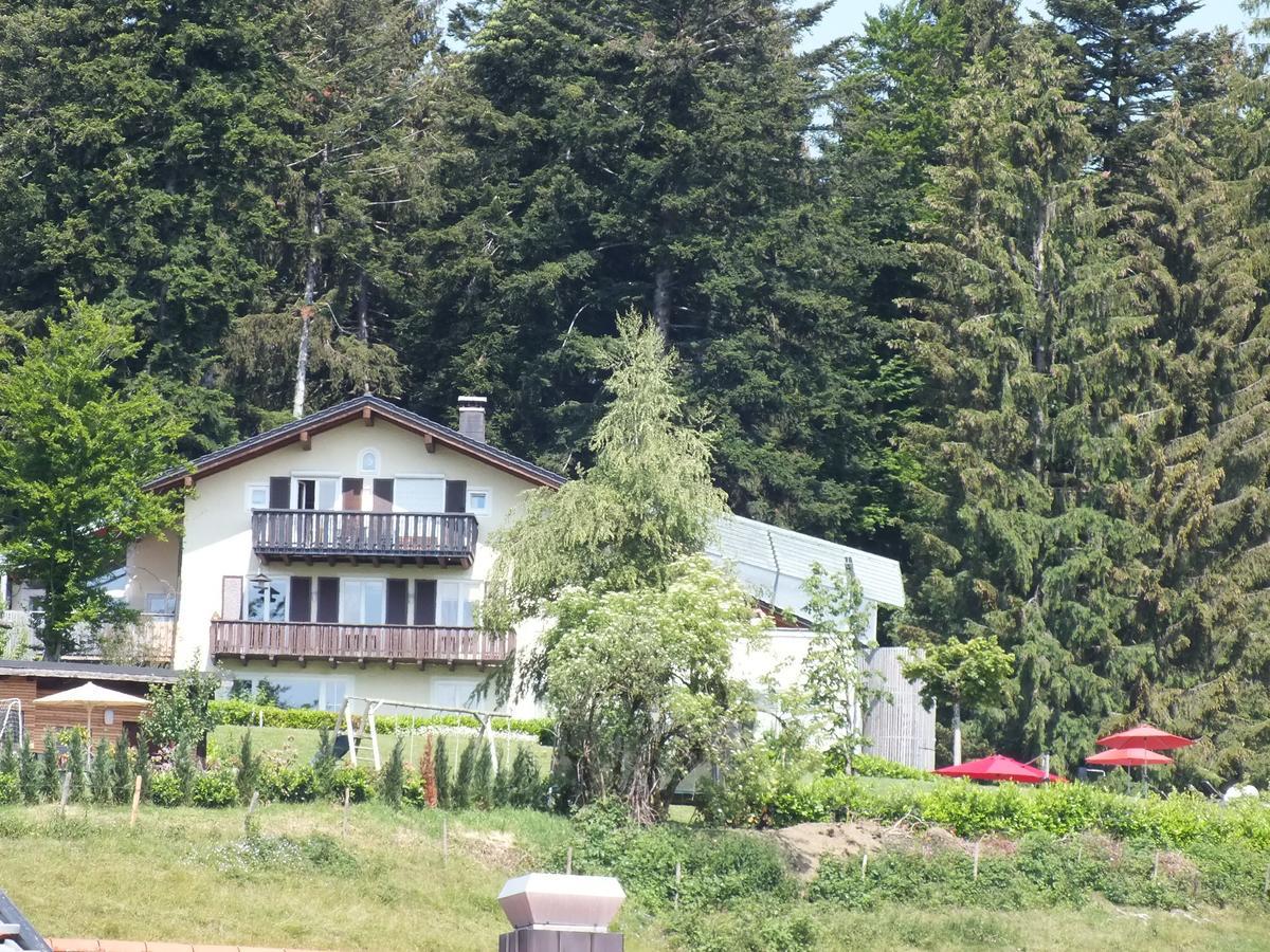 Gastehaus Pension Bergwald Scheidegg Buitenkant foto